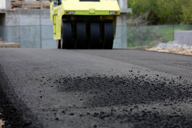 Best Professional Driveway Pavers  in Harrington, DE