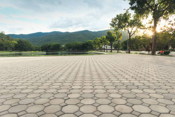 Best Concrete Paver Driveway  in Harrington, DE
