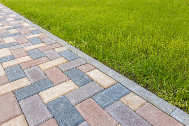 Best Local Driveway Pavers  in Harrington, DE